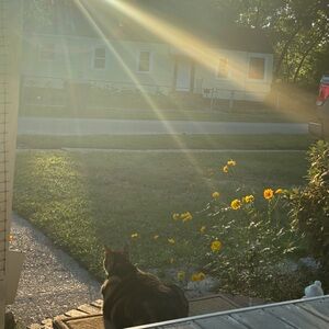 Meet your Posher, Tammy